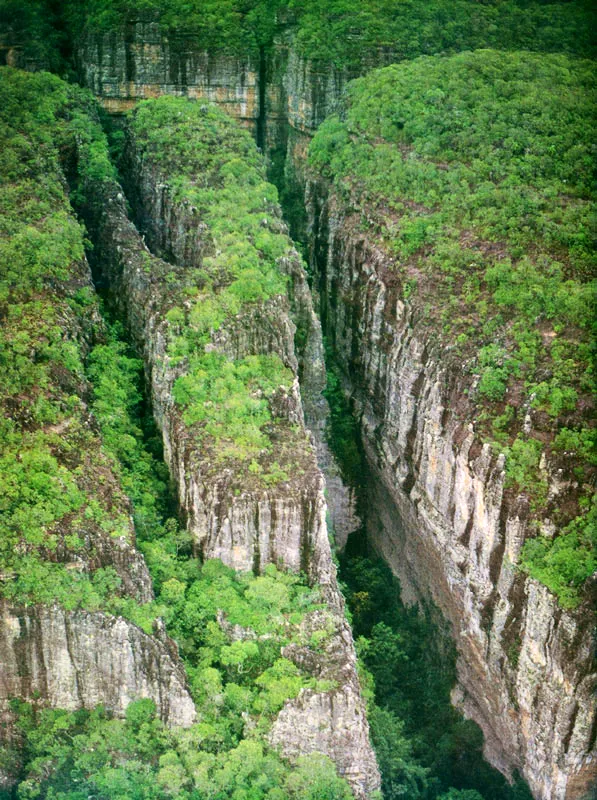 Parque Natural Nacional Serrana de La Macarena. 