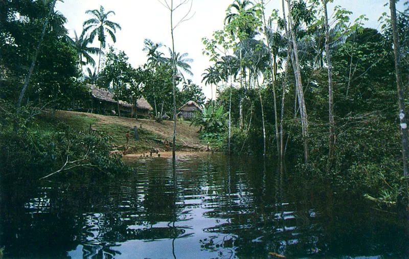 Poblado indgena en afluente del Amazonas. 