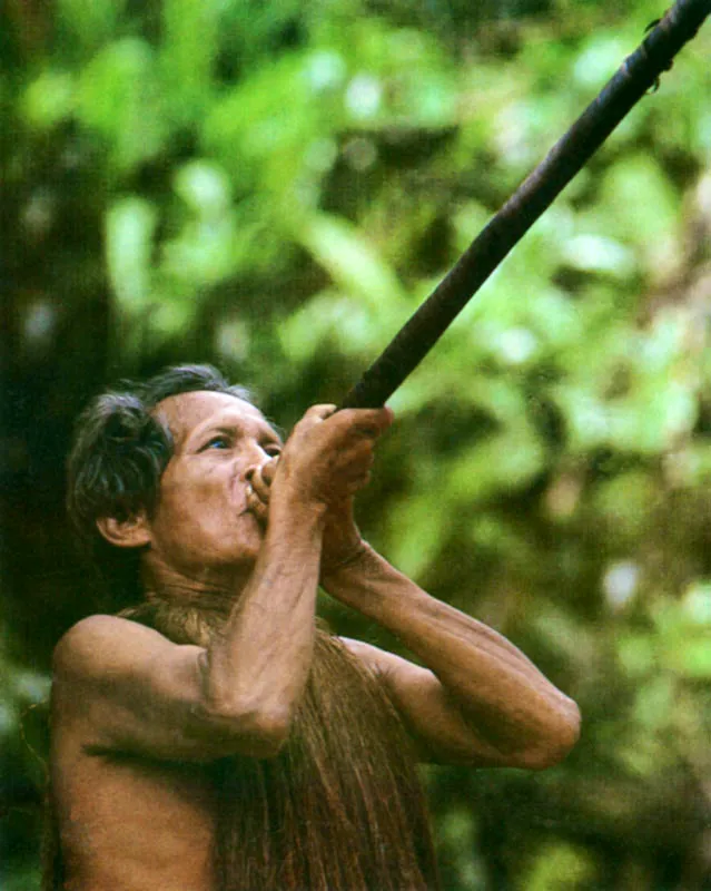 Indgena de Amazonas. 