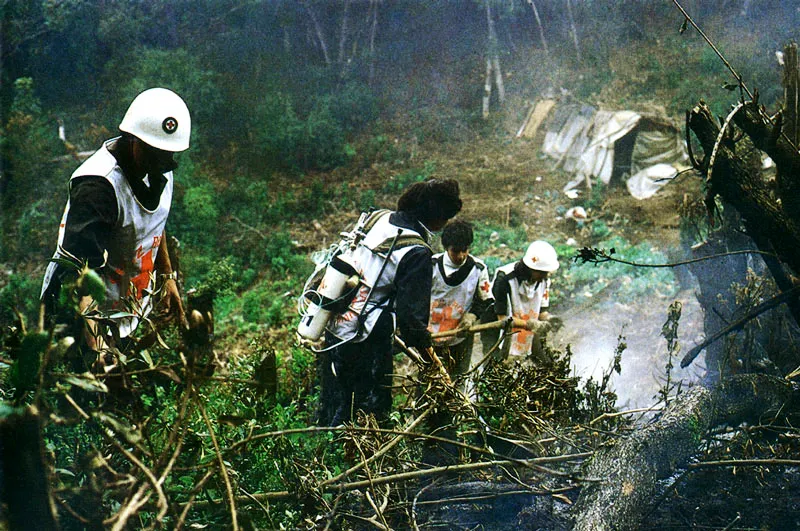 Socorristas de la Cruz Roja, colaborando en la extincin de incendio en la selva colombiana. 