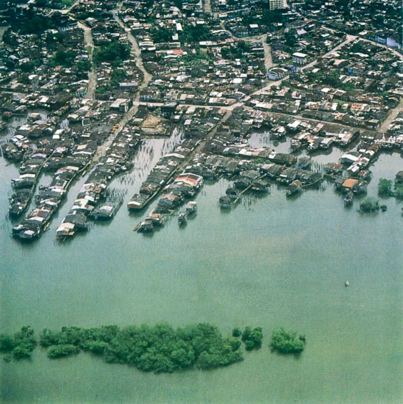 Tumaco, los manglares y la barequera, buscadora de oro en Barbacoas, son imgenes de la costa Pacfica. 