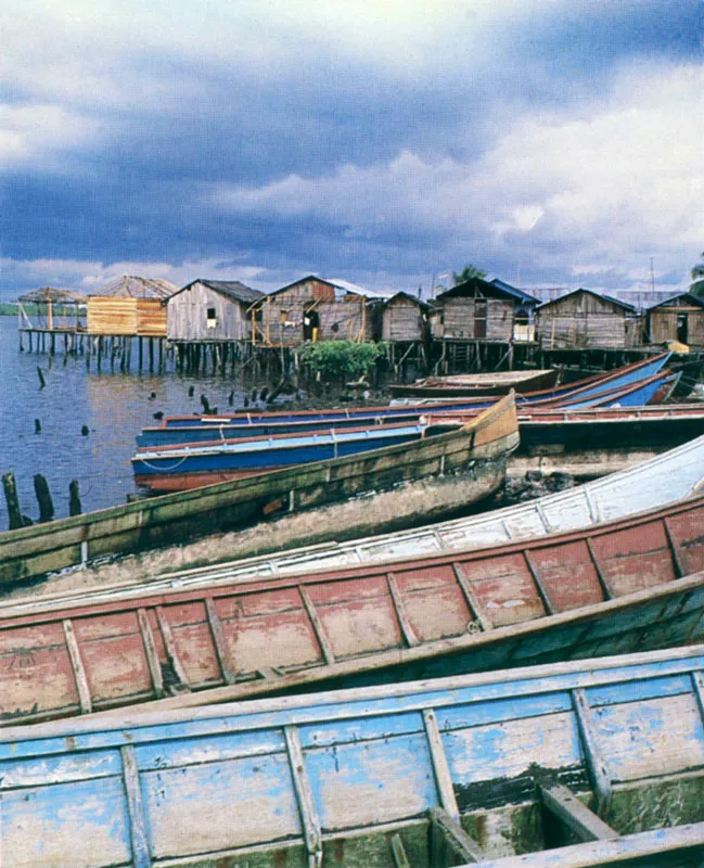 Tumaco, los manglares y la barequera, buscadora de oro en Barbacoas, son imgenes de la costa Pacfica. 