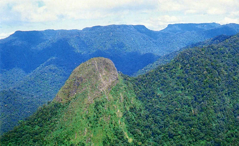 Parque natural nacional de La Macarena. 