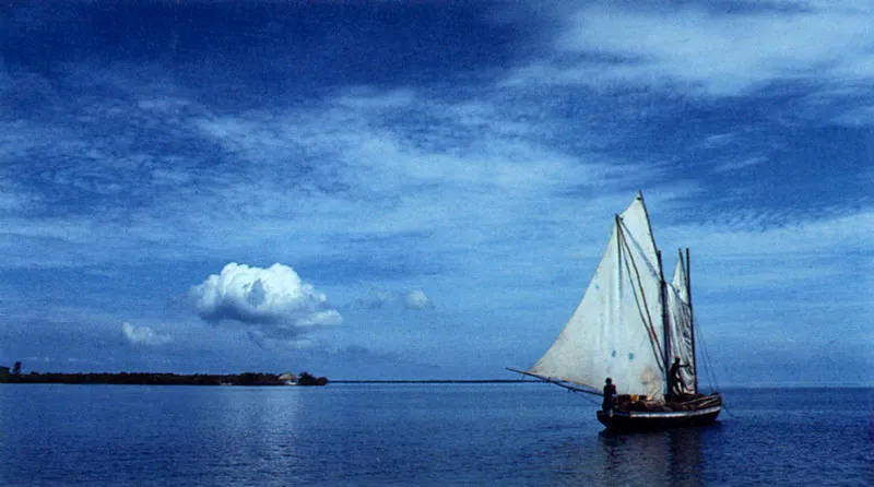 Isla del Rosario, parque nacional natural por la belleza de sus corales. 