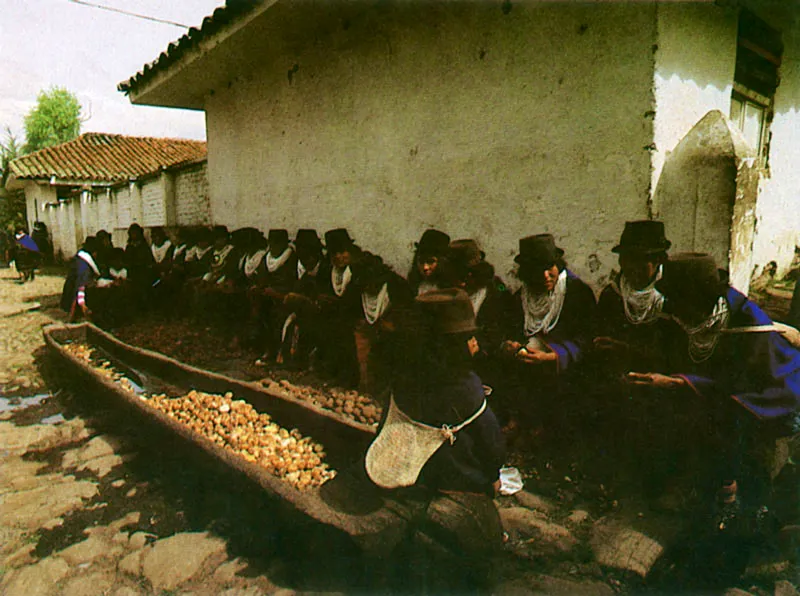 Indgenas Guambianos en el Cauca. 