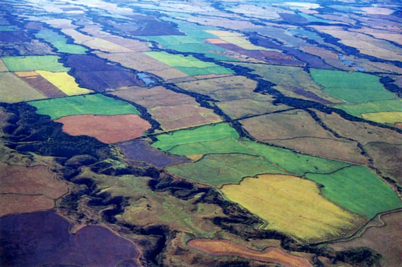 Paisaje nariense. 