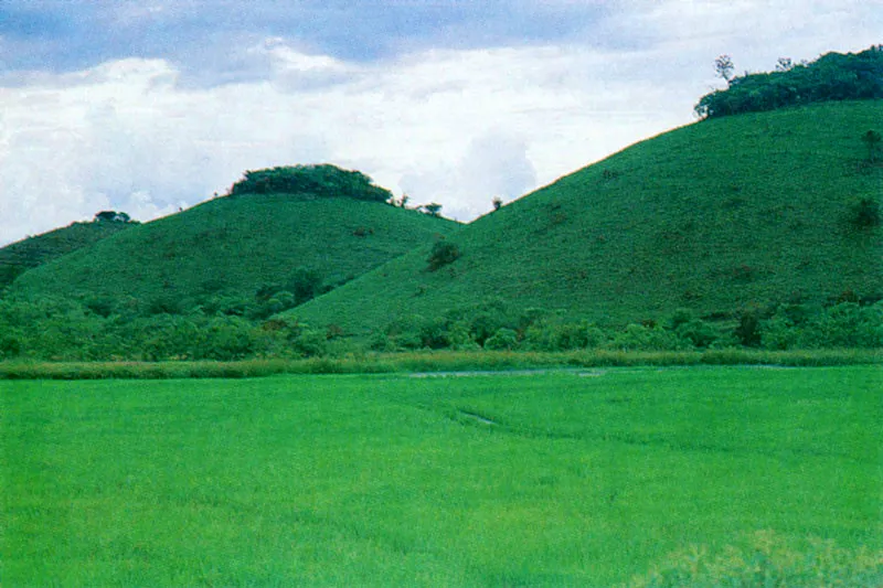 El Huila y el Tolima con su ro Magdalena, sus arrozales, sus ceibas y las palmas de cera en la cordillera. 