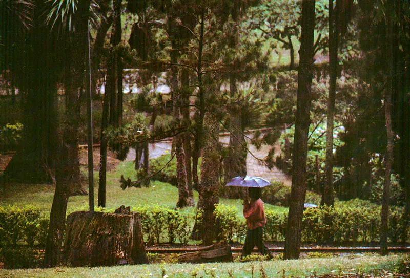 Parque de la independencia. Ellen Tolmie