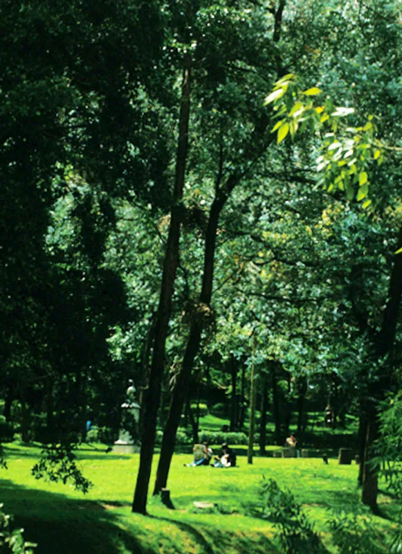 Parque de la Independencia. Ellen Tolmie