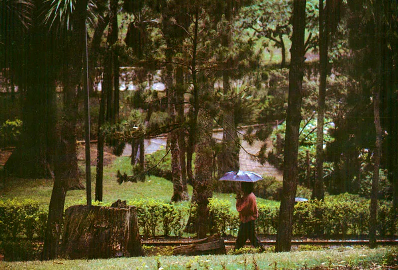 Parque de la Independencia. Ellen Tolmie