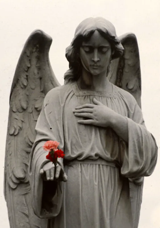 Cementerio central. Diego Samper