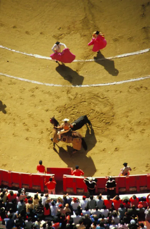 Corrida de toros en la plaza Santamara. Helmuth Dumfahrt