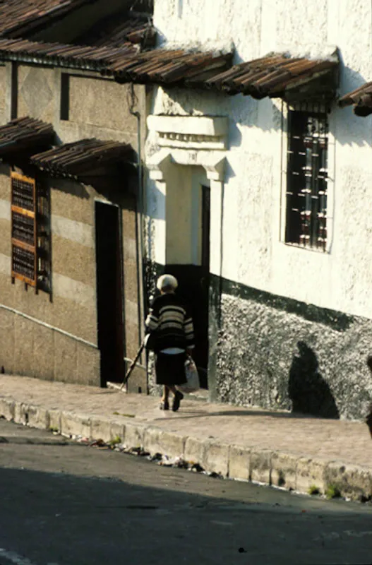 La Candelaria. Diego Samper