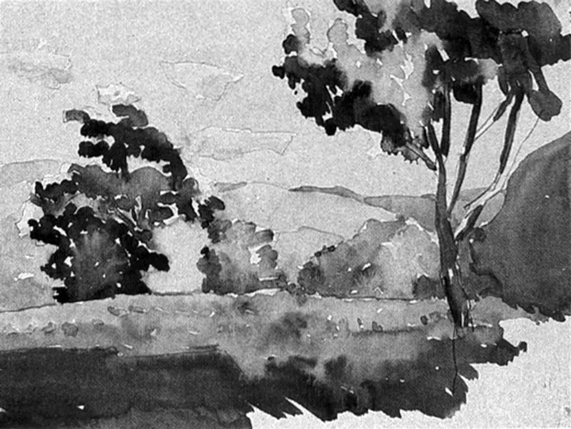 Paisaje. Acurela