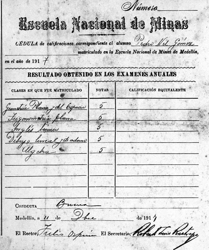 Calificaciones del primer año de Ingeniería.