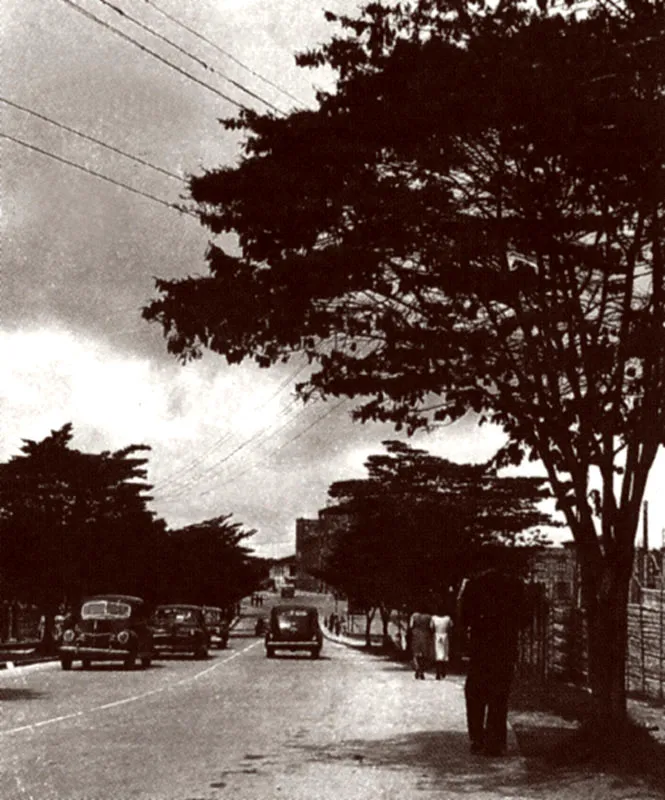 El Carretero hacia el Parque de los Fundadores. 