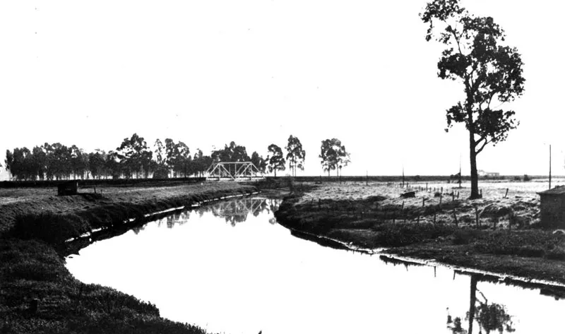 Ro Bogot en medio de un tpico paisaje sabanero. 