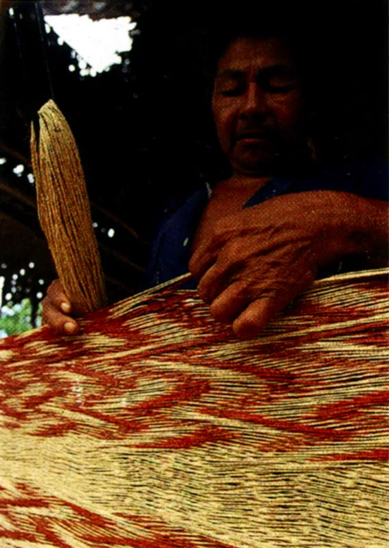 En la regin amaznica colombiana habitan todava cerca de ochenta grupos tnicos, que van desde tribus de cazadores y recolectores, muy poco interesados en el mundo civilizado, hasta comunidades que han perdido casi totalmente su cultura debido al contacto con mestizos y blancos. Jeremy Horner