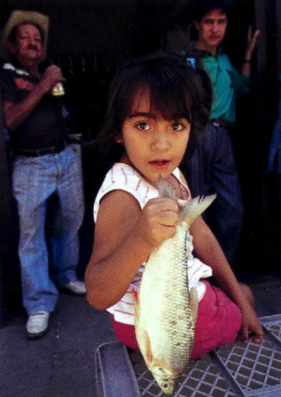 La riqueza en aguas de Colombia, desde las lagunas de los pramos y los arroyos que all nacen hasta los grandes ros de las selvas y las costas en los dos ocanos, produce una gran diversidad de peces que son base importante de la alimentacin en las distintas regiones del pas. Jeremy Horner