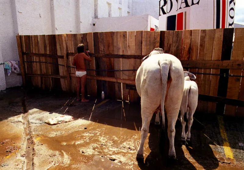 Escenas de la feria agropecuaria Agroexpo en Bogot Jeremy Horner