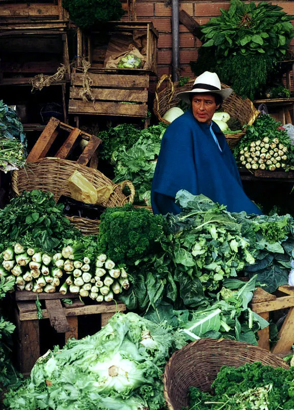 Vendedora de la plaza mayorista de Corabastos, Bogot Jeremy Horner