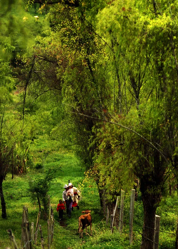 Familia campesina en Tibaná, Boyacá Jeremy Horner