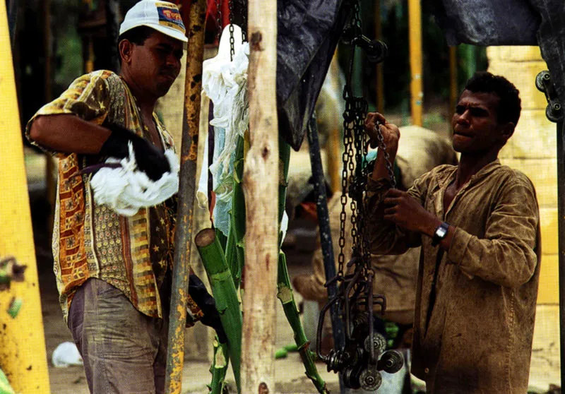 Trabajadores de las bananeras de Cinaga, Magdalena Jeremy Horner