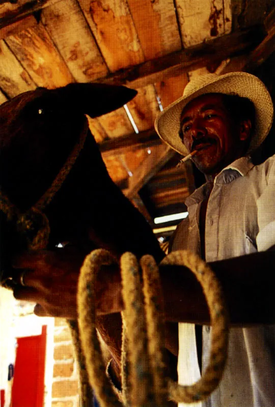 Ganadero en Bolombolo, Antioquia Jeremy Horner