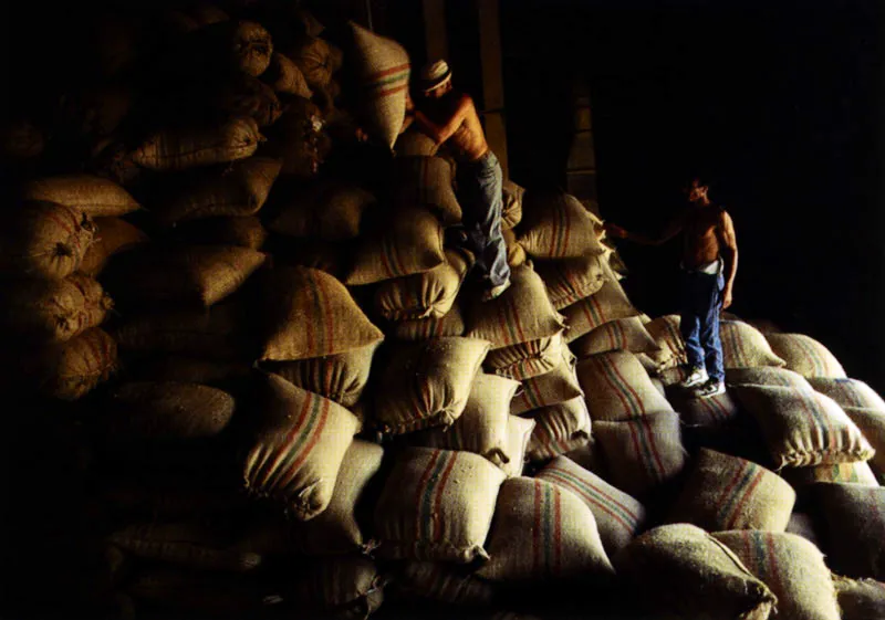 Sacos de café para la exportación en Pereira, Risaralda Jeremy Horner
