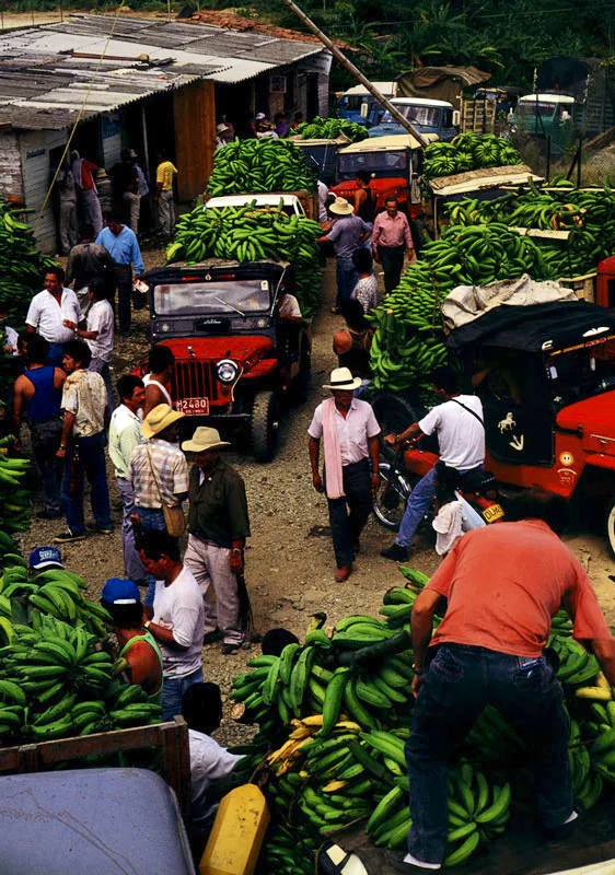Mercado de plátano en Armenia, Quindio Jeremy Horner