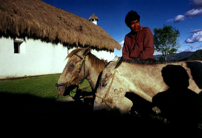 Corte de crin a un caballo.San Andrés de Pisimbalá, Cauca Jeremy Horner