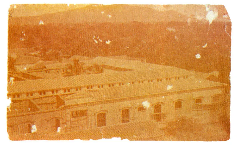 VICENTE PACINI.
Mercado cubierto, Cúcuta. 1875.
Copia en albúmina?gelatina,
12.5 x 20.4 cm.
Colección Academia de Historia de
Norte de Santander, Cúcuta.