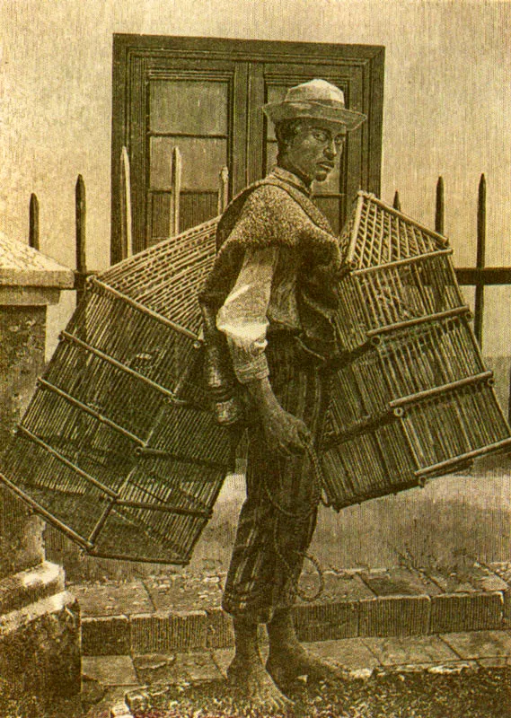 JULIO RACINES. Tipo de indio jaulero de Bogotá. 1884c. Xilografía basada en fotografía realizada por Ricardo Moros y publicada en el Papel Periódico ilustrado. Año IV No. 84, febrero 5 de 1885.