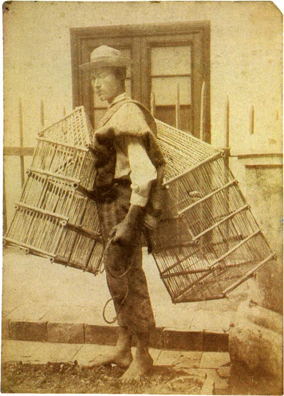 JULIO RACINES. Tipo de indio jaulero de Bogotá. 1884c. Copia en albúmina, 23.3 x 16.6 cm. Propiedad de Jorge Langlais, Bogotá.