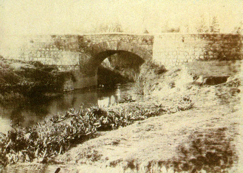JULIO RACINES.
Puente sobre un río de la Sabana
de Bogotá. 1885c.
Copia en albúmina. 12.4 x 17.4 cm.
Propiedad Jorge Langlais, Bogotá.