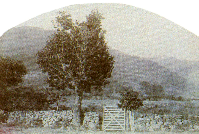 LUCIANO RIVERA GARRIDO.
Corraleja en inmediaciones de
El paraíso. El Cerrito (Valle). 1898c.
Copia en albúmina. 12.5 x 17,7 cm.
Propiedad Enrique Santos Molano,
Bogotá.