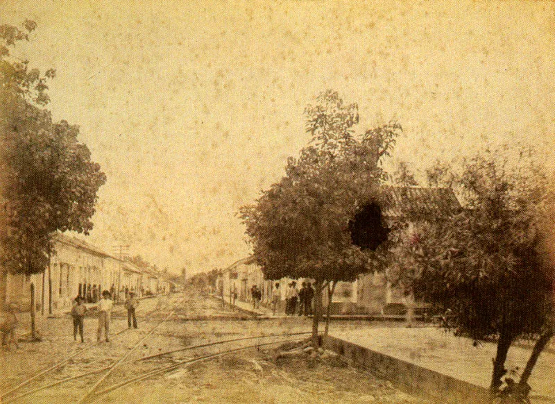 MARCO A. LAMUS.
Cruce de la Calle Nariño y carrera Santander,
Cúcuta. 1895c.
Copia en albúmina. 27.8 x 35.6 cm.
Propiedad Antonio García Herreros, Cúcuta.