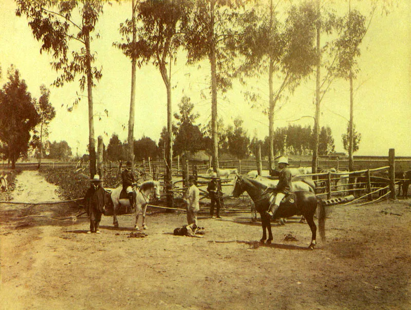HENRI DUPERLY. Pesebreras en Bogotá. 1895c. Copia en albúmina, 18.2 x 24.5 cm. Propiedad Carlos Montoya Restrepo, Bogotá.