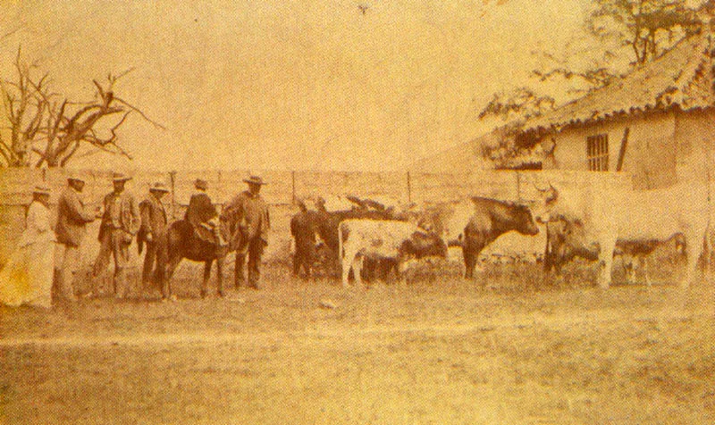 ANONIMO. 
 Escena campestre en una hacienda.
 Sabana de Bogot. 1898c.
 Copia en albmina. 20.2 x 12.2 cm.
 Coleccin Academia Colombiana ale
 Historia, Bogot, 