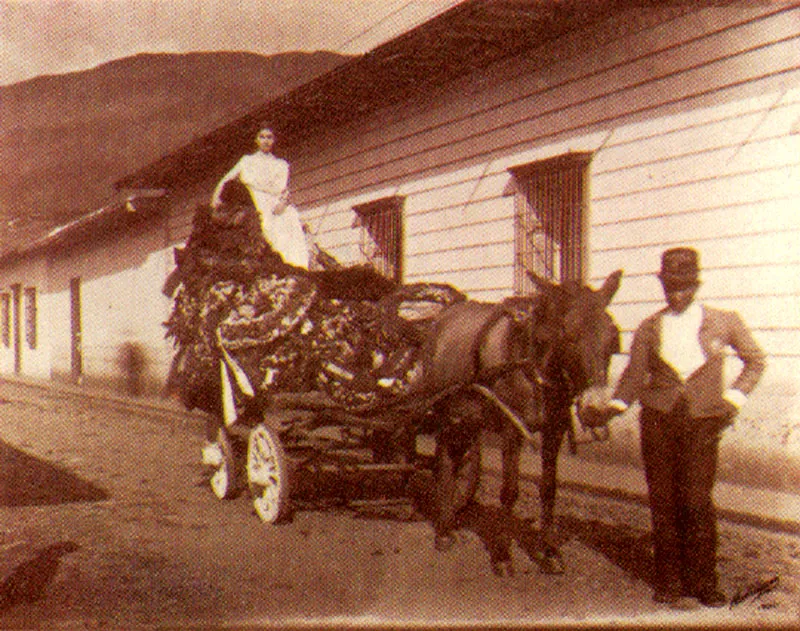 MELITON RODRIGUEZ.
Llegada de los restos de Jorge Isaacs
Medellín. 1905.
Copia reciente de negativo gelatina
vidrio. 20.3 x 25.4 cm. Archivo
Fotografía Rodríguez, Medellín.