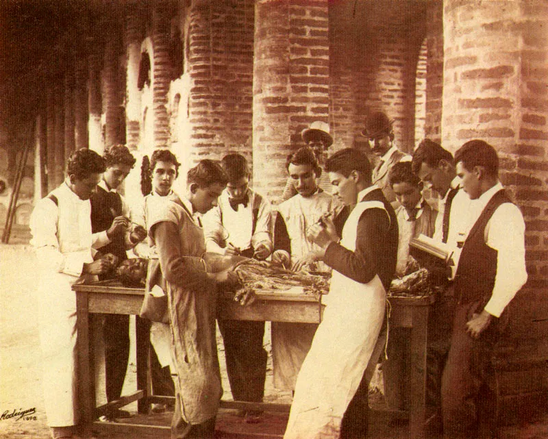 MELITON RODRIGUEZ.
Estudiantes de Medicina. Medellín.
1892.
Copia reciente de negativo gelatina
vidrio. 20.1 x 25,2 cm. Archivo
Fotografía Rodríguez, Medellín.