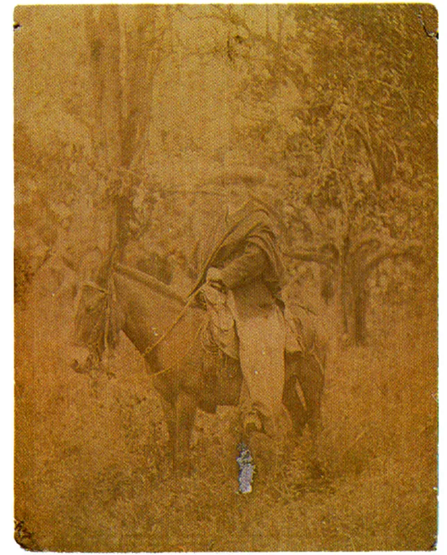 ANONIMO.
Guillermo Valencia en viaje a Bogotá
para asistir a las sesiones del
Congreso. Cauca. 1896.
copia en albúmina. 22.6 x 17,1 cm.
Colección Museo Valencia, Popayán.