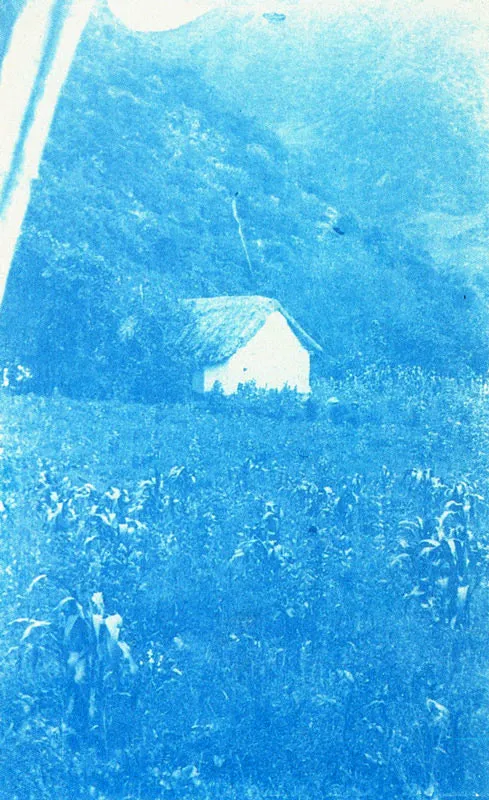 NICOLAS QUEVEDO Z . Paisaje en la Sabana de Bogotá, 1900c. cianotipo. 9.1 X 5.5 cm. Propiedad Miguel H. Rozo, Zipaquirá.