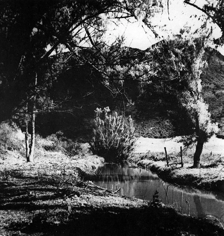 ERWIN KRAUS. Río Tabio. Cajicá. 1943. Copia reciente. Archivo Erwin Kraus, Bogotá.