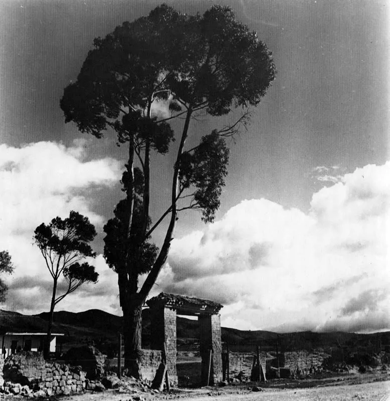 ERWIN KRAUS. Portada de la Hacienda "Terreros", Sabana de Bogotá. 1938. Copia reciente. Archivo Erwin Kraus, Bogotá.