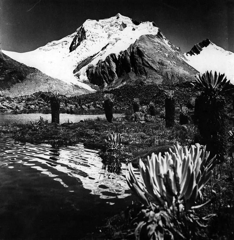 ERWIN KRAUS. 
Pico  El Castillo". Nevado del Cocuy.
1946.
Copia reciente.
Archivo Erwin Kraus, Bogot. 