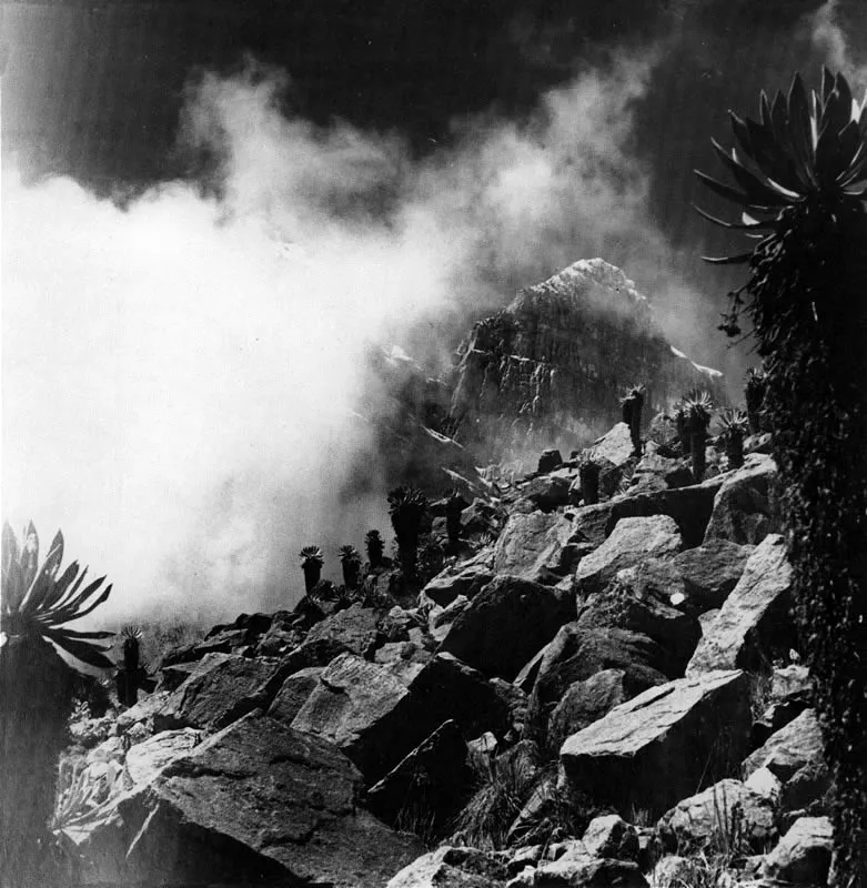 ERWIN KRAUS. Campanilla Grande, Nevado del Cocuy. 1944. Copia reciente. Archivo Erwin Kraus, Bogotá.