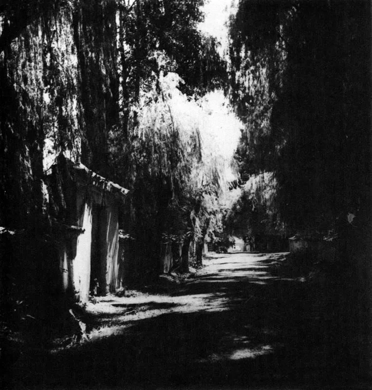 ERWIN KRAUSS. Vereda Sabanera cerca a Suesca. 1938. Copia reciente archivo Erwin Krauss. Bogotá.