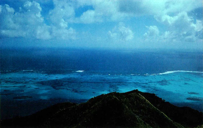 En condiciones apropiadas los corales pueden desarrollar
una barrera slida y compacta. Los 20 kilmetros de largo
con sus 500 metros de ancho hacen de los corales de la Isla
de Providencia una de las barreras ms extensas del Caribe.
Estos arrecifes pueden repararse a s mismos, y actan como
gigantescos rompeolas naturales protegiendo la costa de la erosin.
 Henry von Prahl