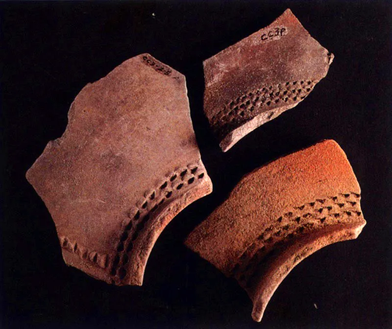 Fragmentos de cerámica monocromática con decoración punteada-ungulada de los yacimientos de Salamanca y Lomas de López.
